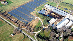 Solar-powered-mushroom-farm