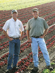 WiersFarm