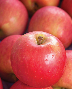 apple