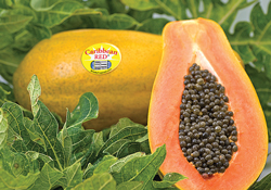 crpapaya