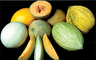 melons-mixed