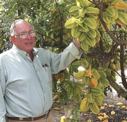 palstarfruit2