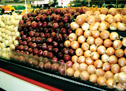 02-CalOnions-display