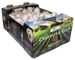 05-Garlic-Christopher-Monvi