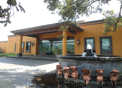 10-MexAvo-WestPak-Mexico-fa