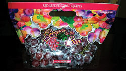 11-FallFruit-Bayshore-Globe