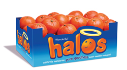 13-CalCitrus-Paramount-Halo
