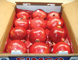 17-FallFruit-Simonian-pomeg