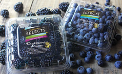 Berries
