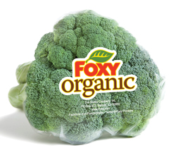 FXY Broccoli O 