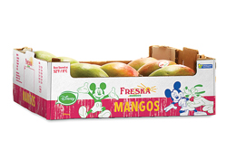 Freska-3DMangoCrate-05
