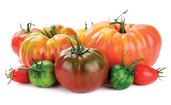 Heirloom-Picture