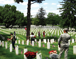 MEM-DAY-FLO-1