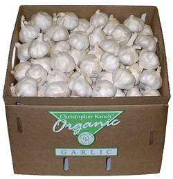 ORGANIC-GARLIC-FRESH-2