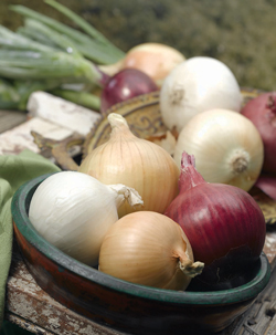 Onion-House