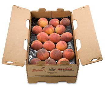 OrganicPeaches MetricPanta