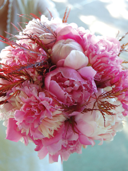 PEONY-BOUQUET