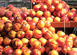 Peaches---Nectarines-Mixed-