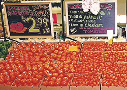 Tomato-Display1