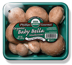 bbellaorgBG