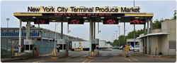 imgTerminal
