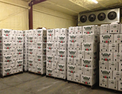 precooler