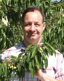 10-CalCherries-FlavorTree-Mo-Cameron