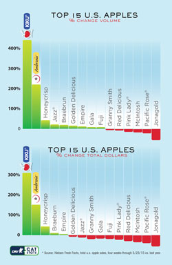 Ambrosia-and-KIKU-apple-sales-soar-Graph