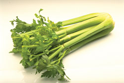 Celery
