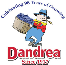 Dandrea-98Years-Logo-Blueberry