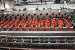Flavor-1st-machines-2