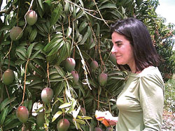 Freeland-Isabel-2006