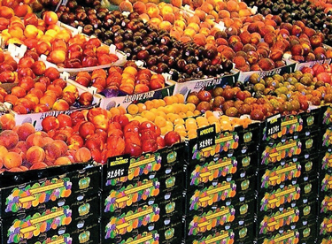 Front-Entrance-Stone-Fruit