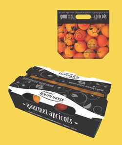 GourmetApricotpouchcarton