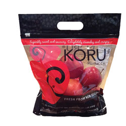 KORUPOUCHBAG
