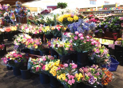 M-DAY-FLORAL-revised-
