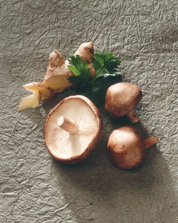 MUSHROOM-COUNCIL-Herb-with-Shiitakes