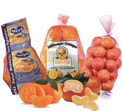 Mandarin-Tangerine-Midnight-bags-with-fruit-copy