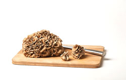 Michigan-Maitake-2
