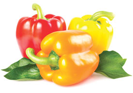 NFF-Bell Peppers