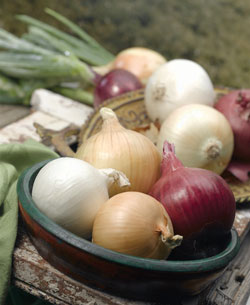 Onion-House