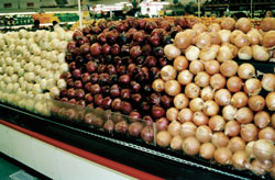 Onion-display-photo