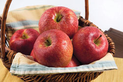 PazazzAppleBasket