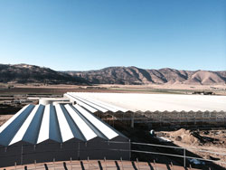 SunSelect-Tehachapi
