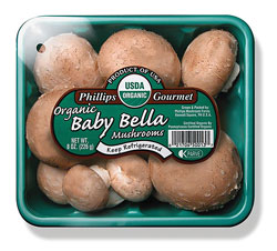bbellaorgBG