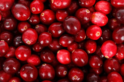 cranberries2