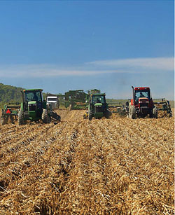 maine-potato-pic-tractors-7