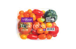 true-rebel