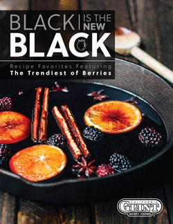 CG BlackNewBlack eBook-1