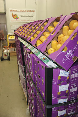 Champagne-mangoes-La-Galera-Chicago